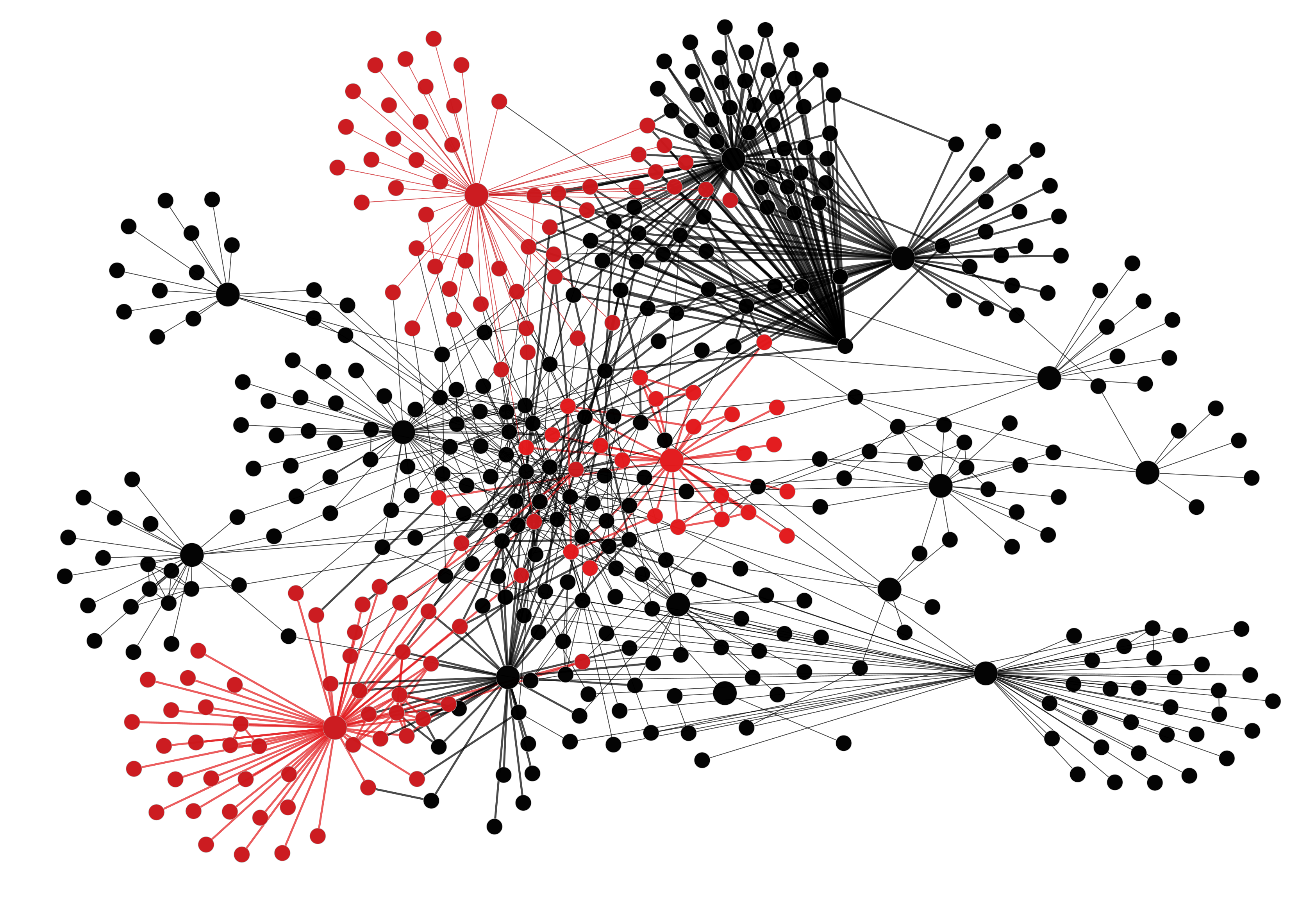 Gene regulatory network diagram, frame 4